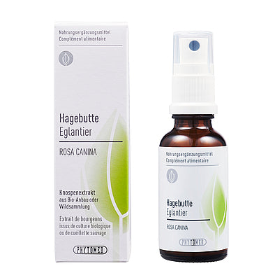 Hagebutten Knospenextrakt Themen: Immunsystem Stärkung, Atemwege, Halsschmerzen