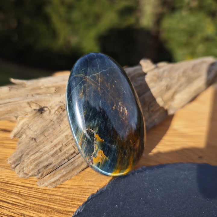 Falkenauge (Weitblick) Handschmeichler (6)