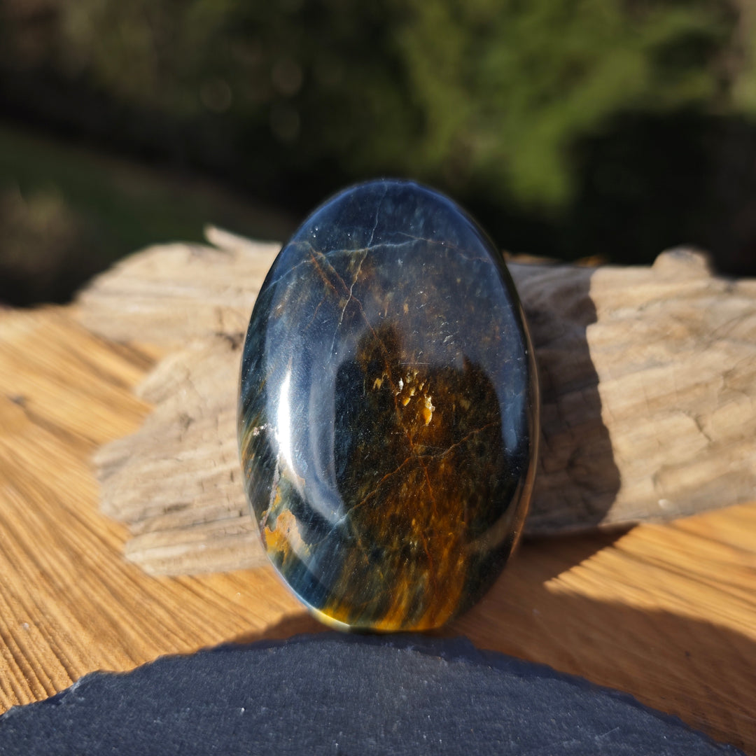 Falkenauge (Weitblick) Handschmeichler (6)