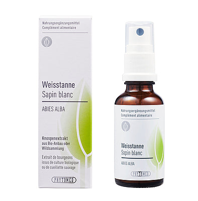 WEISSTANNE Abies alba Knospenextrakt 30ml