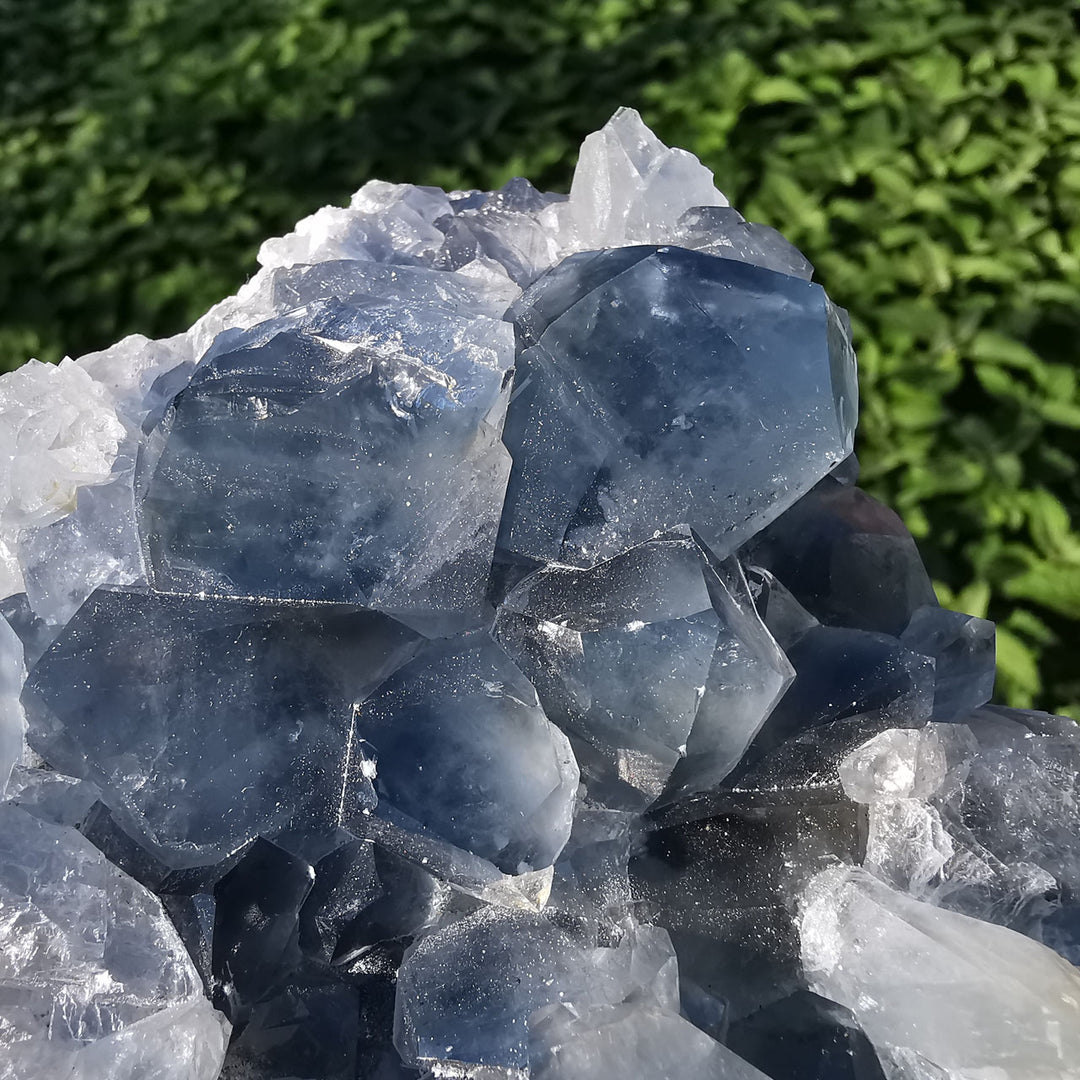 Coelestin Drusenstück TOP 1.3kg